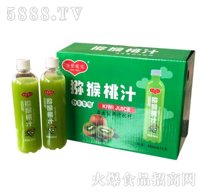 ʵ⨺֭480ml