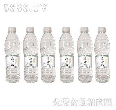 ҵˮ500ml