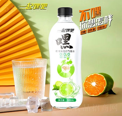 һٰζζմˮ500ml