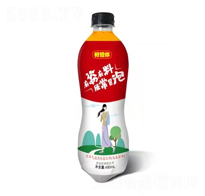 ݷζϣζ̼ƿװ480ml