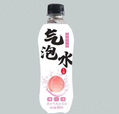 ҷζմˮˮ480ml