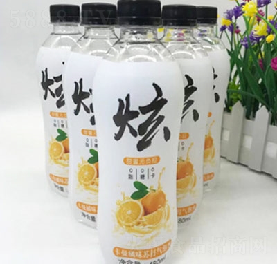 ſζմˮ480ml