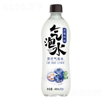 ݮζմˮ480ml