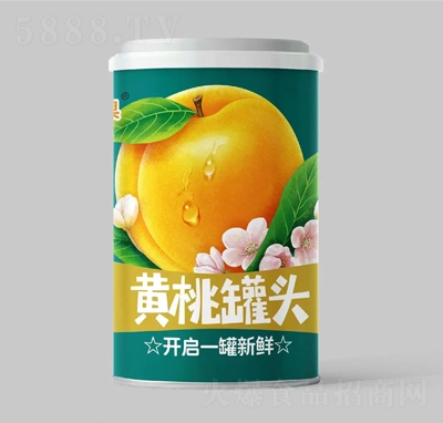 ҹͷʳƷ̴