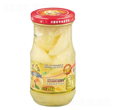 ҹͷ256g