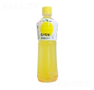 Բƿ500mlζϱ֭˫֭