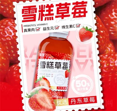 ù֭ѩݮ֭500ml