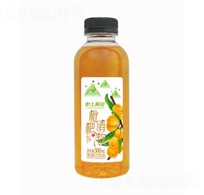 ϳ֭Ʒ500ml