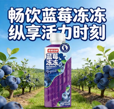 ΨΨ������ݮ������֭����500ml