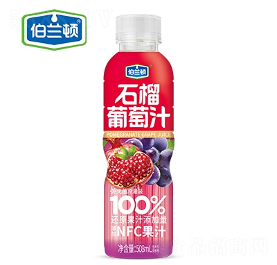 ������ʯ������֭����508ml