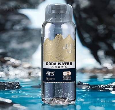 ���� �մ�ˮ��Ʒ600ml