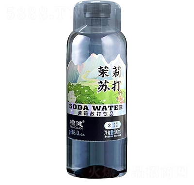 ���������մ���Ʒ600ml