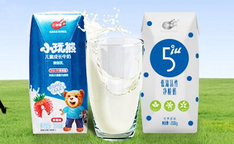 ţ